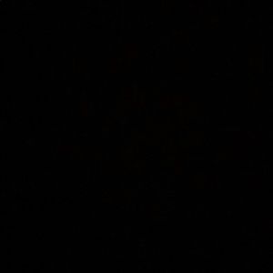 Meet your Posher, Blake